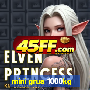 mini grua 1000kg
